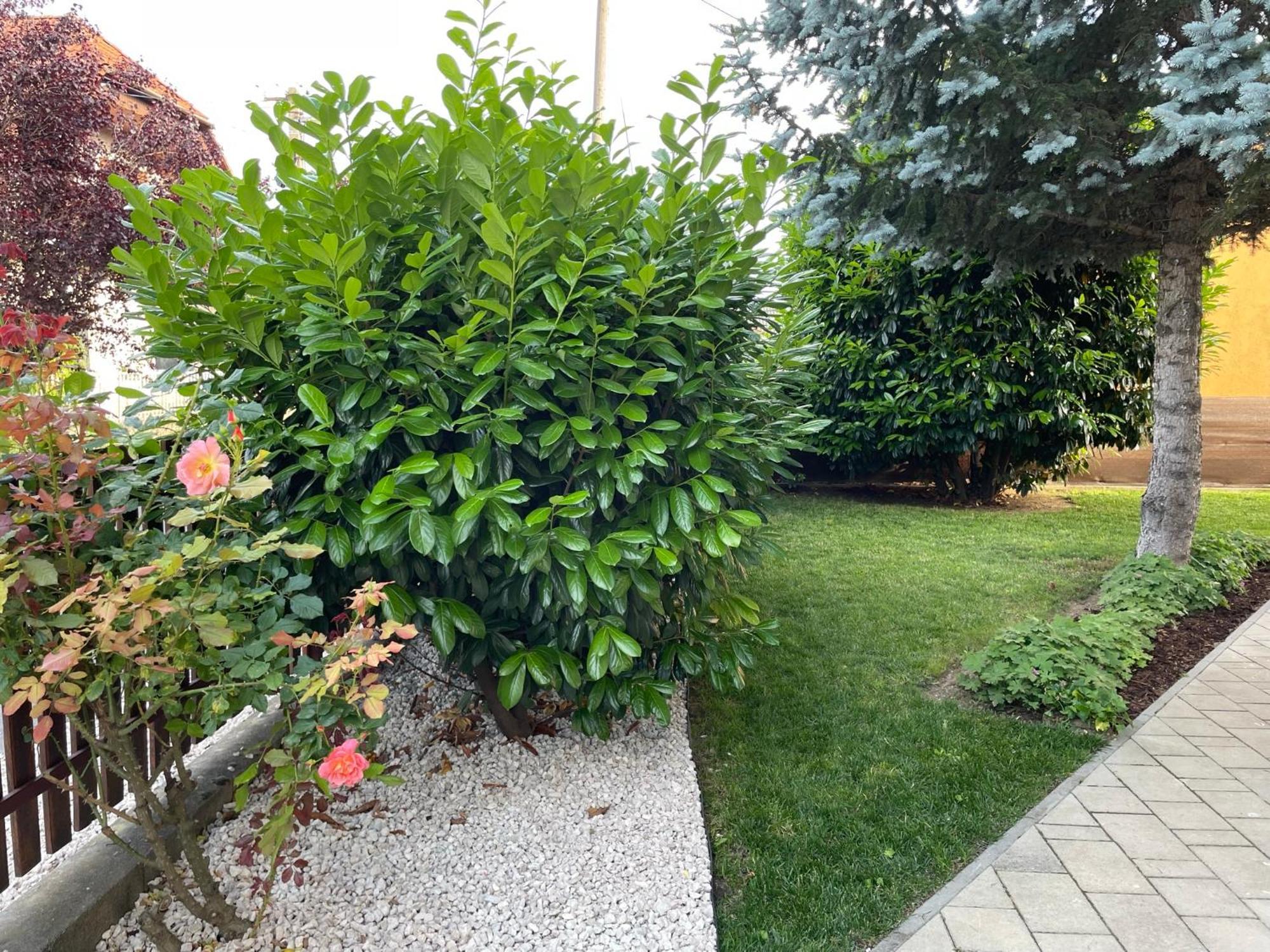 Villa Lili Apartments Balatonkeresztúr Buitenkant foto